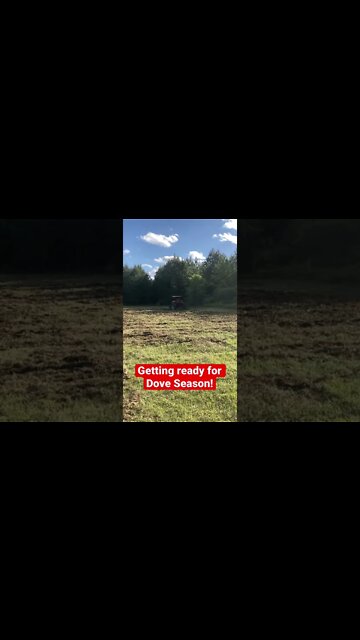 Getting the Food Plots Ready! #Doveseason2022