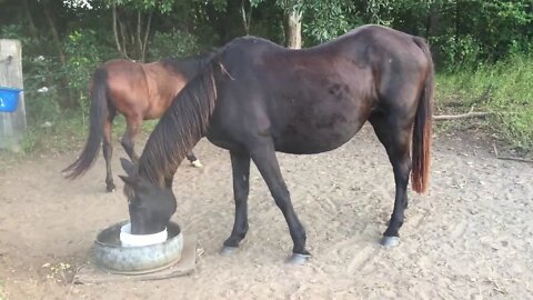 Dyani and Penny, best of friends