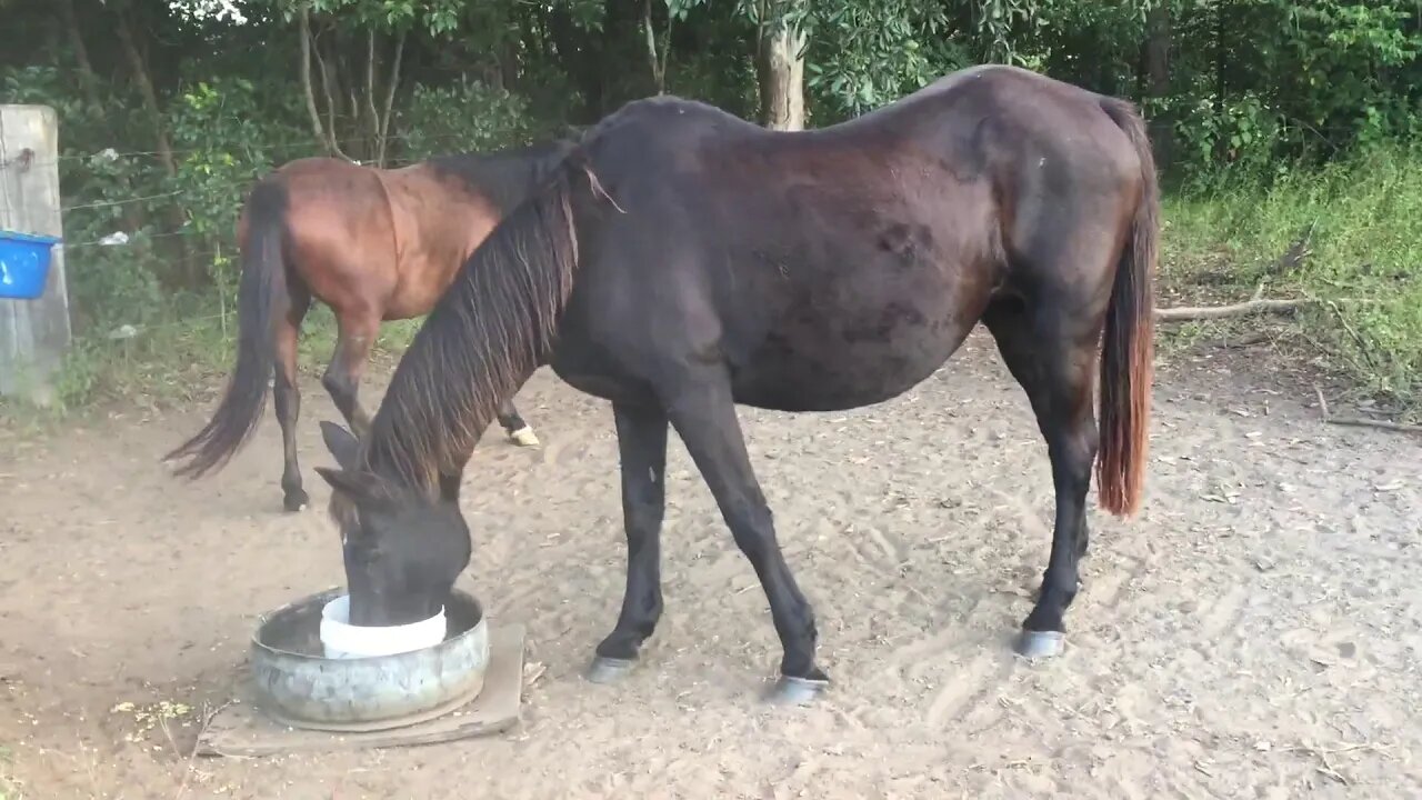 Dyani and Penny, best of friends