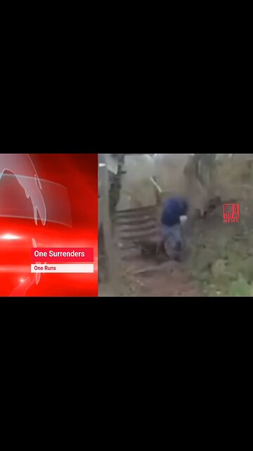 Suspects Dealing WIth Police K9s | One Surrenders, One Runs