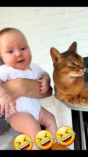 cute cat with cute baby