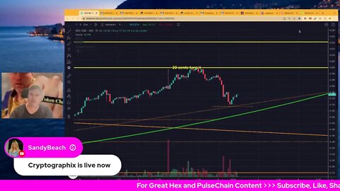 Hex Price Pump Before Pulsechain Launch?! Maxi, Hedron, PulseDodge & PulseDodgeCoin Live Prices!