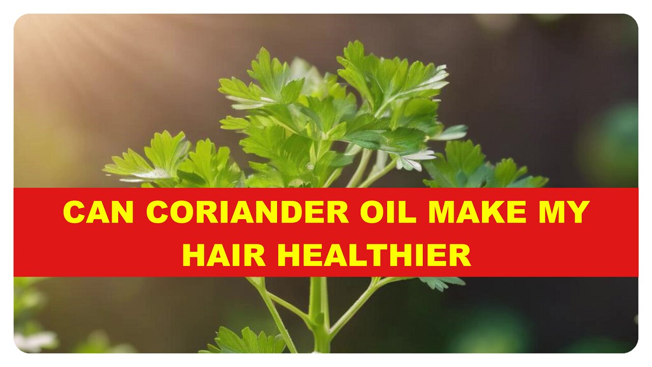 Experience Fuller, Shinier Hair: The Science Behind Coriander Oil's Benefits