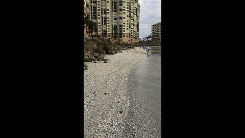 Hurricane Impacts On South Marco Island