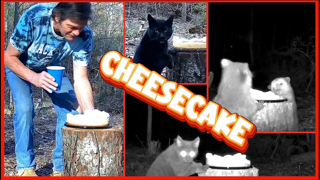 Blast from the past starring "CHEESECAKE"