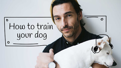 How to train your dog