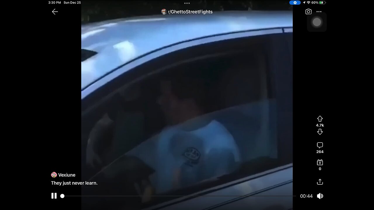 They NEVER learn