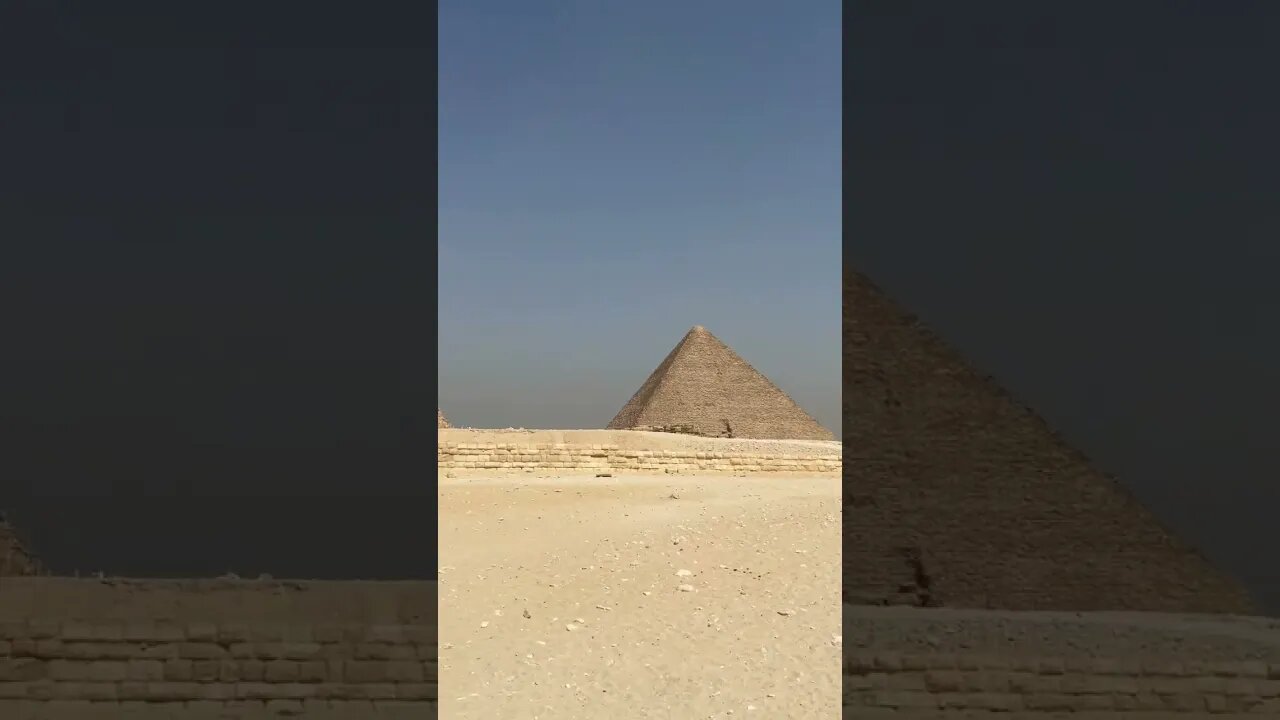 Camel ride to the pyramids #shorts