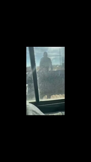 tim hanging onto the back of my truck #shorts