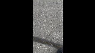 Drunk driver in high school parking lot part 3