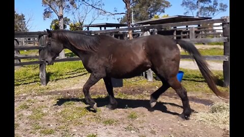 Showing Penny's form. Not too bad for 29