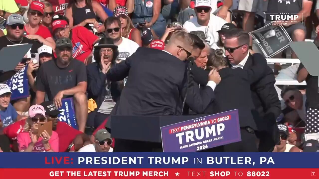 Fight fight