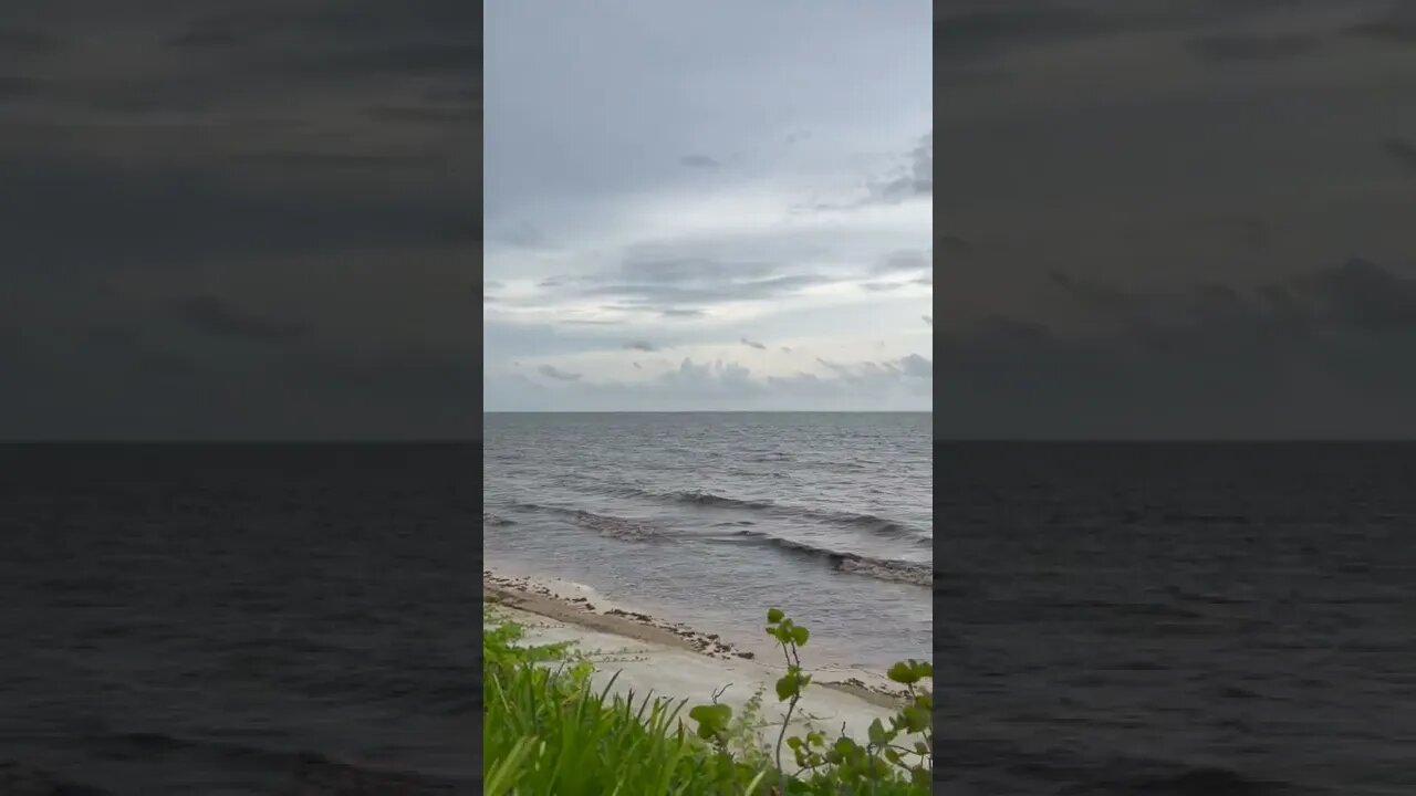 Windy sea shore at Cancun on a forecast evening, Mexico. #shorts