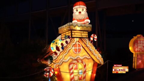 'Festival Of Lanterns' At Cowabunga Bay