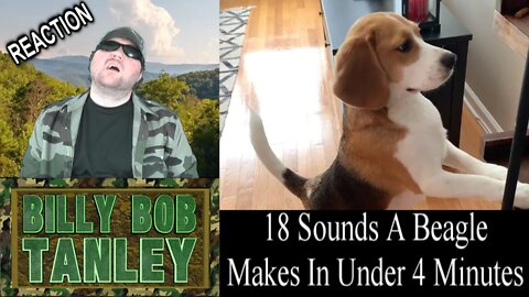 18 Sounds A Beagle Makes In Under 4 Minutes REACTION!!! (BBT)