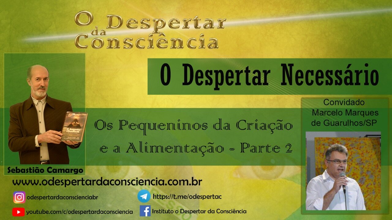 O DESPERTAR NECESSÁRIO - OS PEQUENINOS DA CRIAÇÂO E A ALIMENTAÇÃO