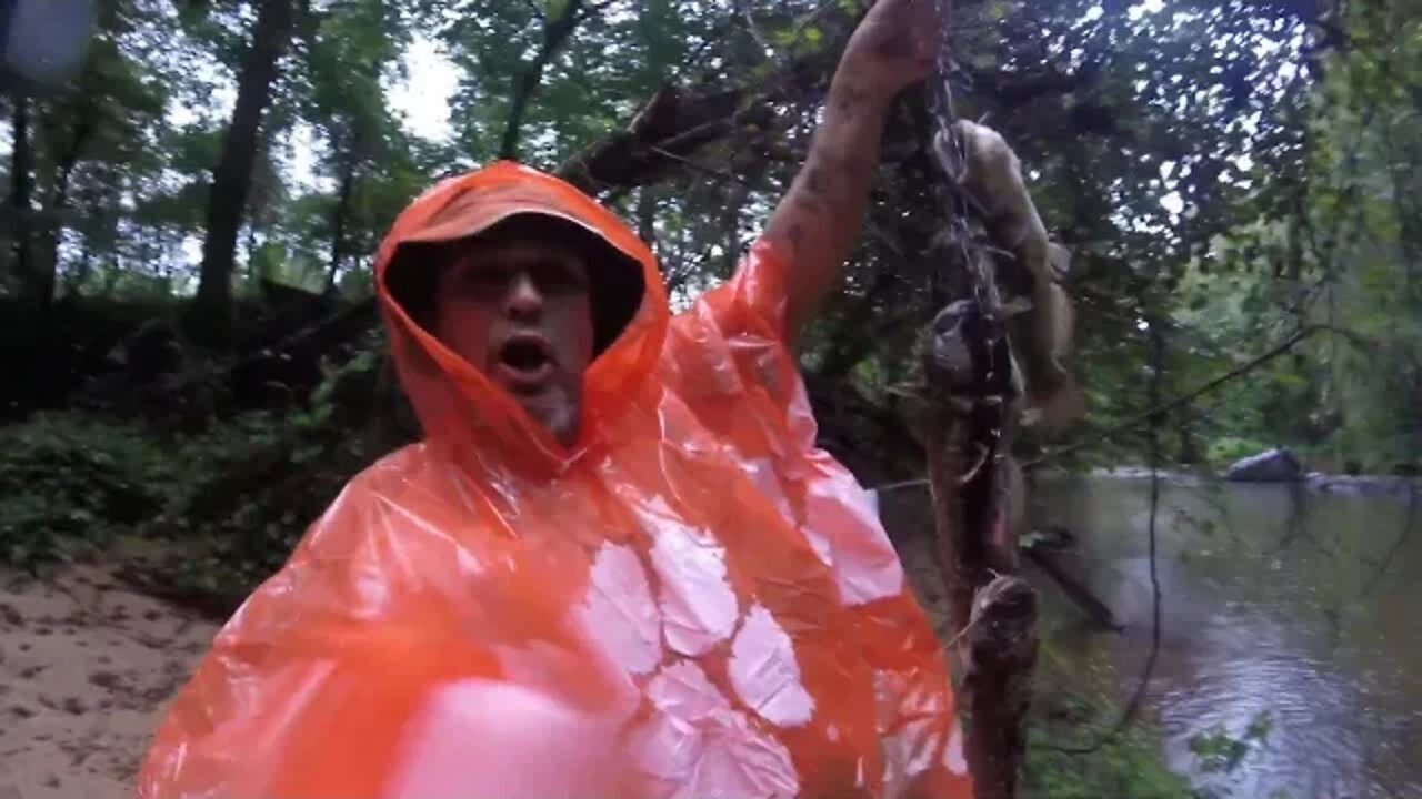 Catfish haul while raining video