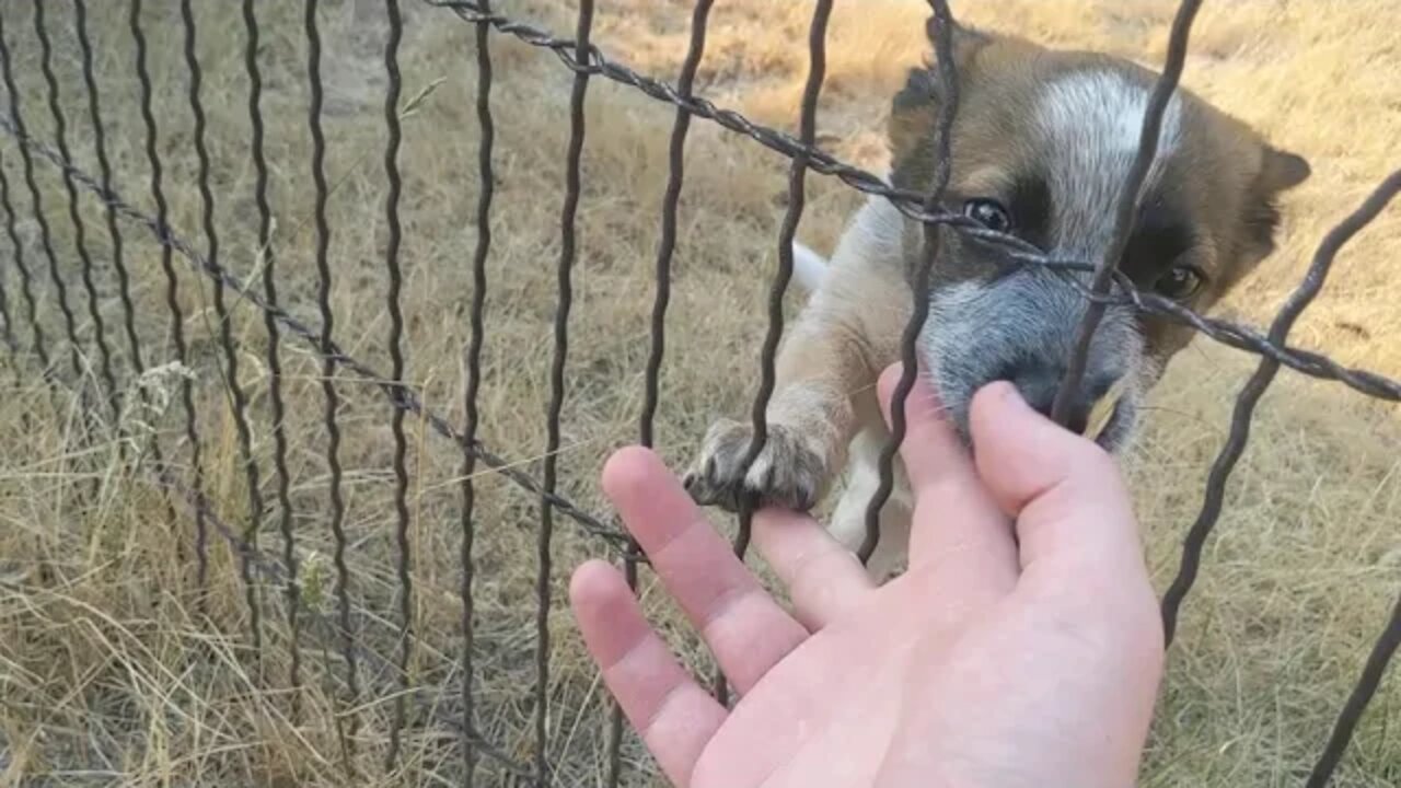 Saying hello to the new neighbor