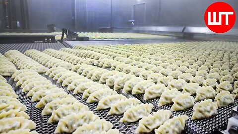 Dumplings Making Process | How Dumplings Are Made In Factory | Food Factory