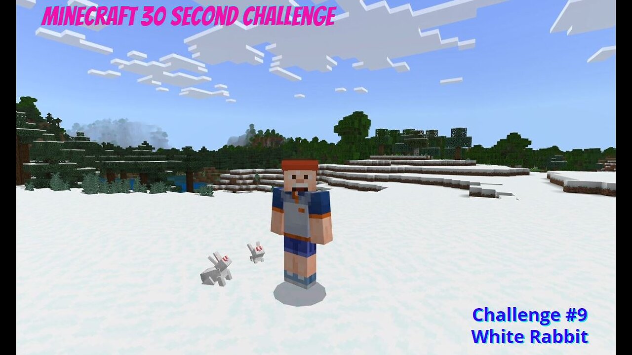 Minecraft 30 Second Challenge - Challenge 9 - White Rabbit