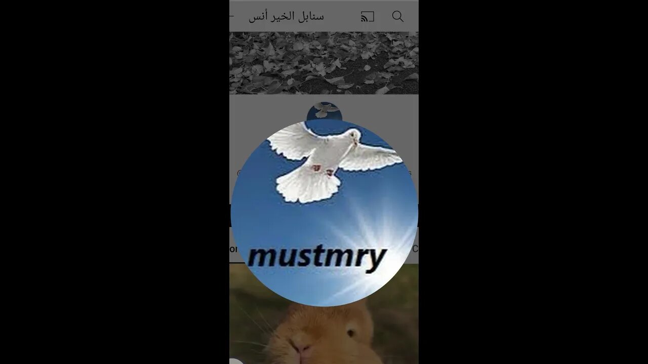 فيديو خاص لصاحب قناة سنابل الخير انس