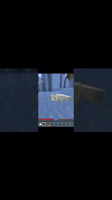 MINECRAFT RAPOSA 🦊 #shorts #minecraft