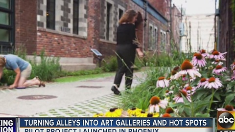 Turning alleys into art galleries in Phoenix