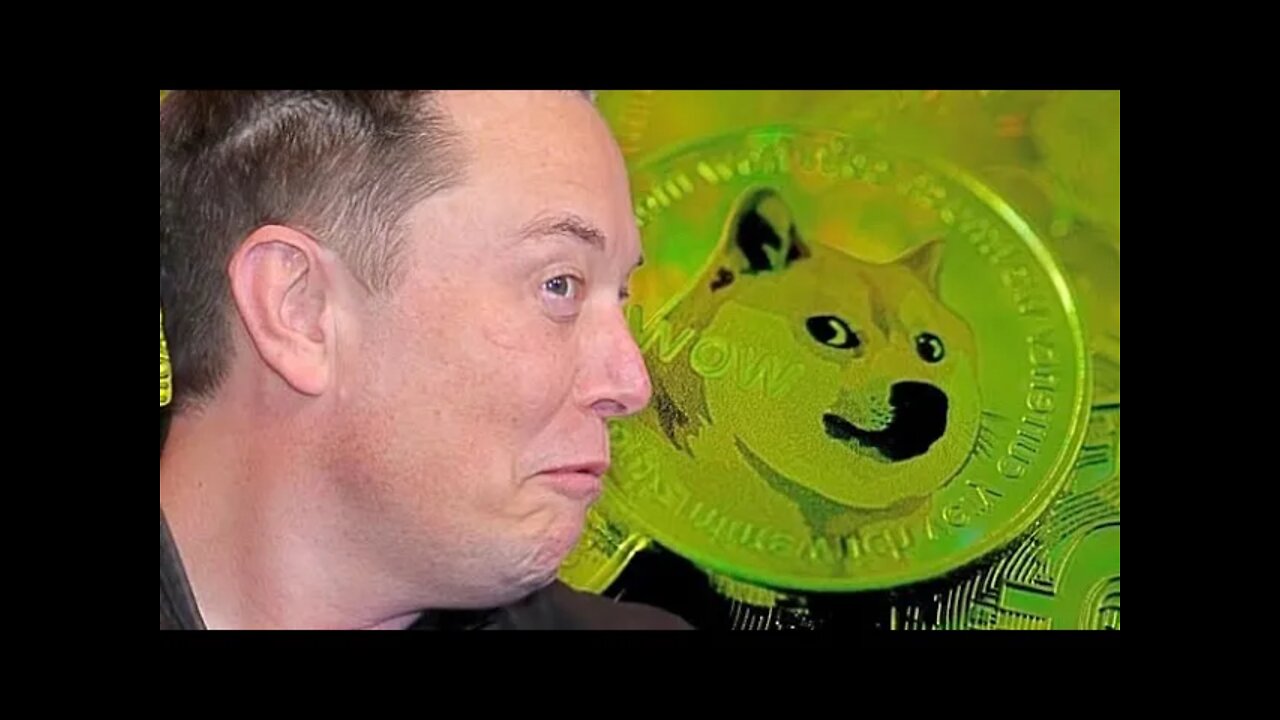 Elon Musk Says Dogecoin is the Future Cryptocurrency of The World