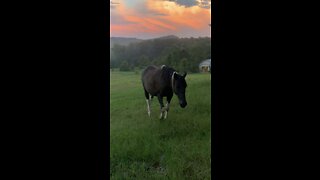 Absolutely gorgeous skies in Alabama tonight!!!