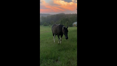 Absolutely gorgeous skies in Alabama tonight!!!