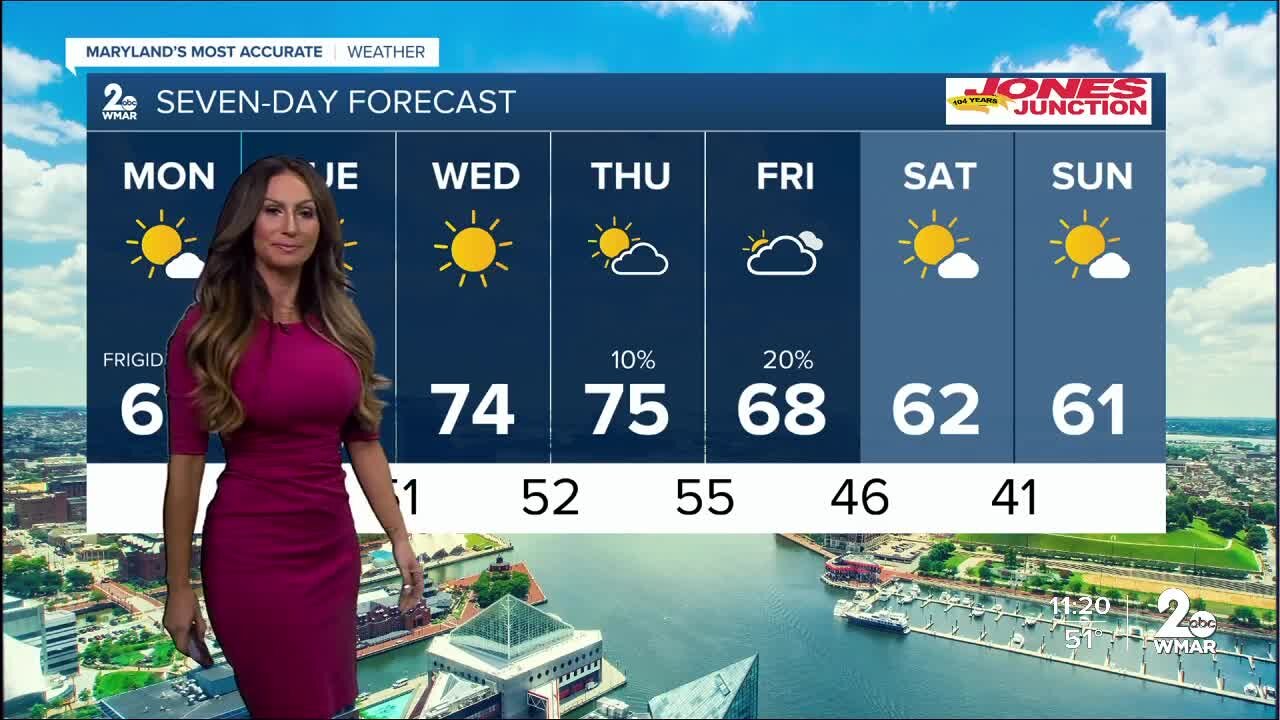 7 Day Forecast