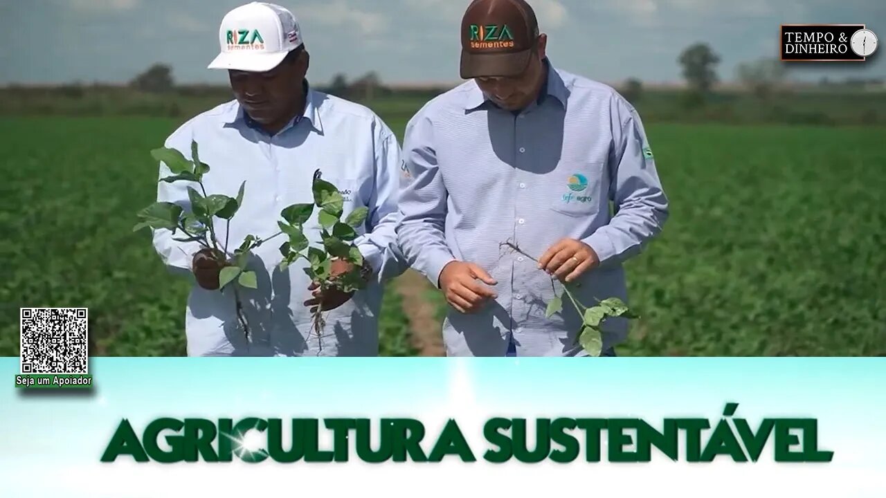 Conheça os benefícios da palha do capim para a fertilidade do solo e produtividade para os grãos