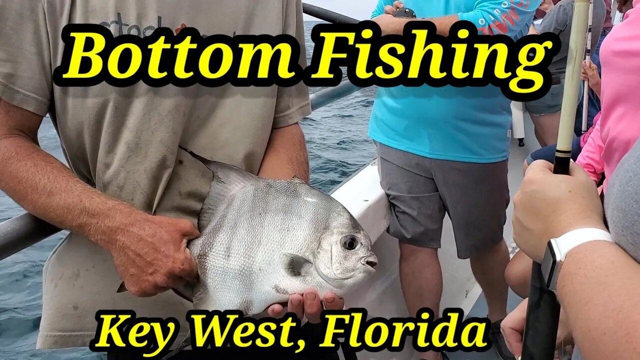 Bottom Fishing of Key West, Florida 🇺🇸 Snapper, Trigger, Spadefish🐠 Barracuda chasing the bait🐟