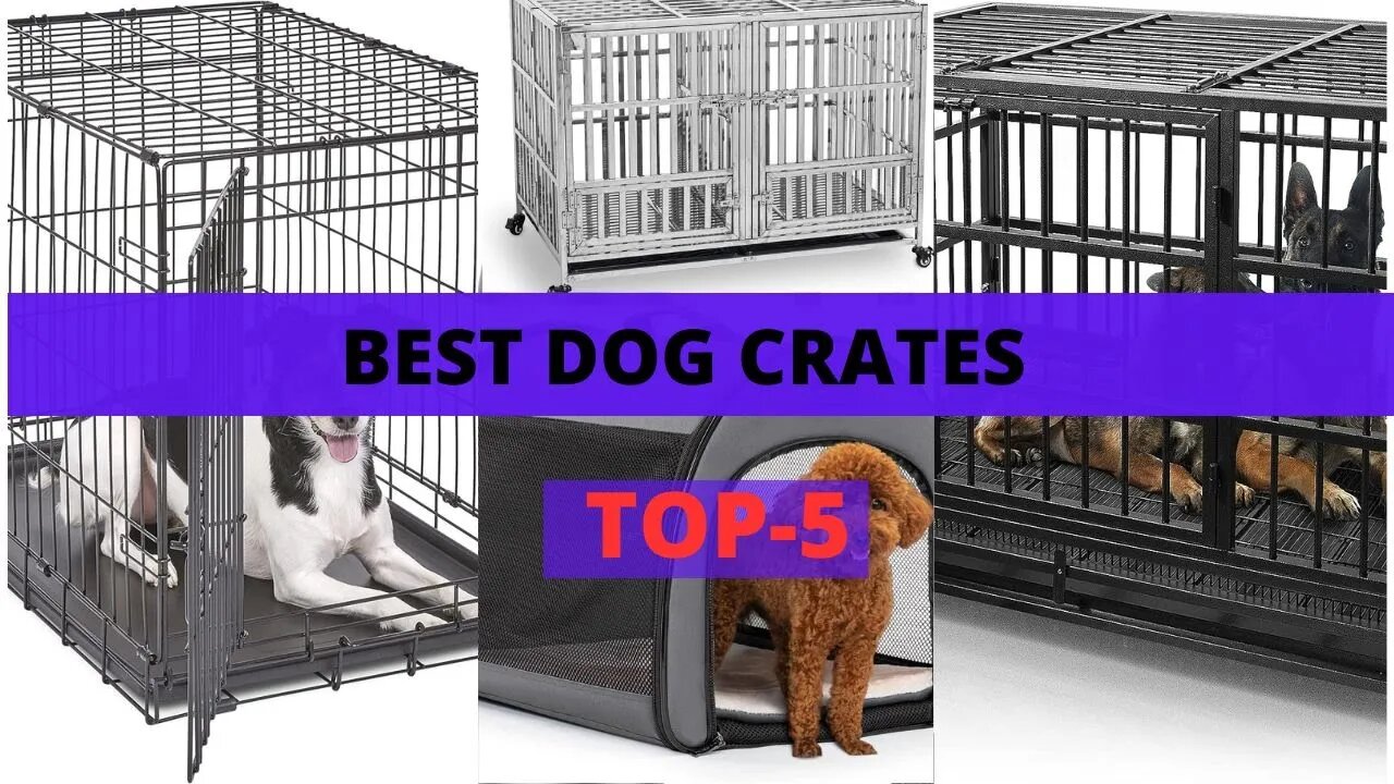 Best Dog Crates | Top 5 Products on Amazon | Review Parks