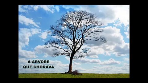 A Árvore que chorava / Mensagem de Deus pra sua vida / @Eduardo Castro yt
