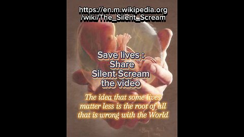 Pro Life the Silent Scream