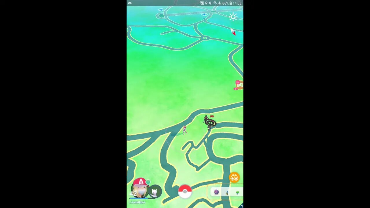 Live Pokémon GO -