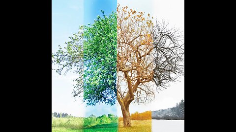 "My Seasons"-Received on 10/30/23