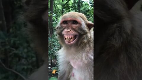 impossível não rir com esse vídeo 😂😂😂