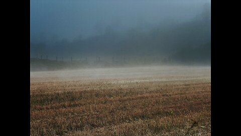 77mm iPhone Photos on a Misty Morning in East Johnson, Vermont