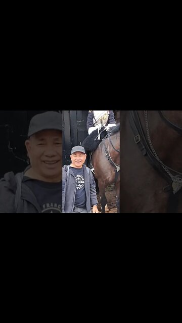 Oi what you doing #horseguardsparade