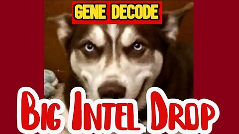 Gene Decode DUMBS Intel - u.s Military Bringing It All Down 09/20/23..