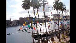 Background on Gasparilla Distance Classic