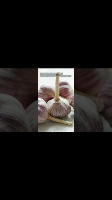 Put a Clove of Garlic Inside The Toilet at Night For This Brilliant Reason #shorts