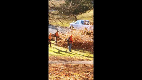 leaf blowing