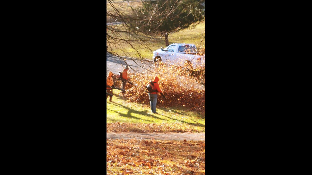 leaf blowing