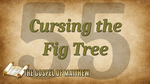 THE GOSPEL OF MATTHEW Part 55: Cursing the Fig Tree