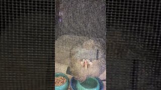 Matilda’s new house