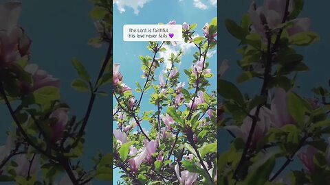 Even the Birds 🐦 Cry 😭 out to Jesus! #jesussaves #salvation #godislove #bible #jesus #faith #god