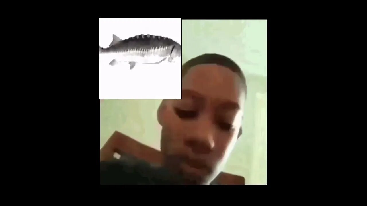 Balls Balls balls tiktok shitpostalert_ _